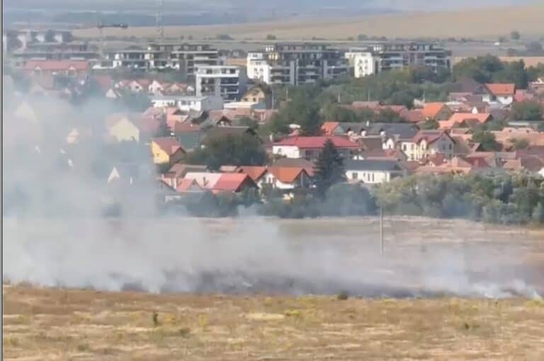 flăcări devastatoare în sibiu: pompierii se mobilizează pentru a stinge incendiul de vegetație – vezi video!
