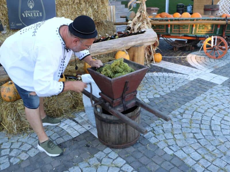 descoperă magie la mediaș: „povestea vinului” revine cu vin, muzică și tradiție!