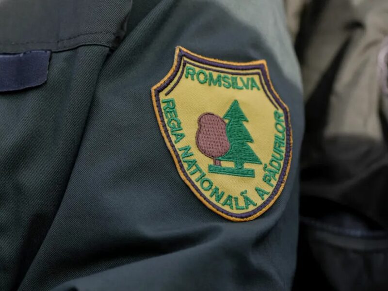 directorul interimar al romsilva ales prin dezbatere publică captivantă