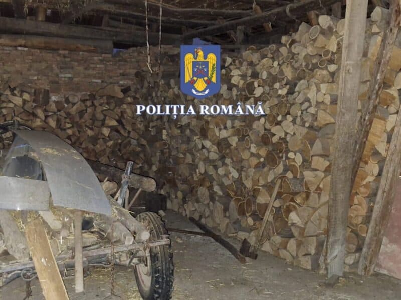 rețineri în cazul mafiei lemnului la sibiu: 8 persoane arestate și 42 audiate după perchezițiile de joi