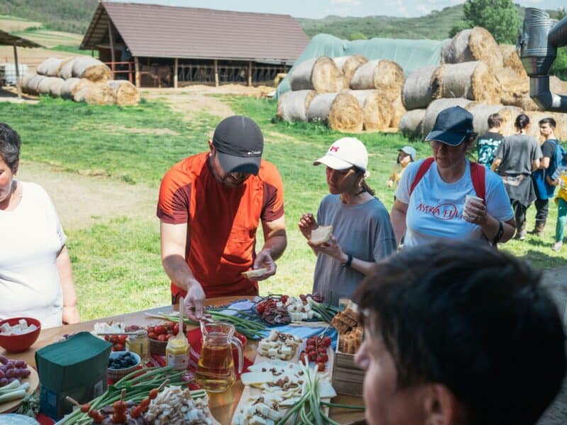 explorează via transilvanica și deliciile culinare din șeica mică și agârbiciu în inima transilvaniei
