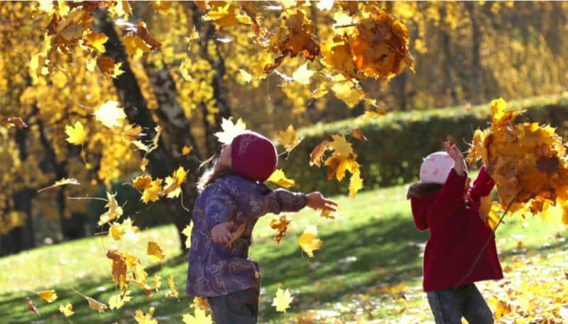 toamnă îndelungată cu precipitații reduse: prognoza meteo până la 1 decembrie