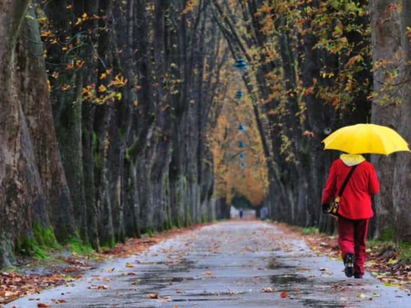 final de octombrie cu vreme caldă: 24 de grade înainte de venirea frigului