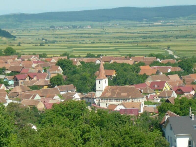 conflict în poplaca: sătean reținut după ce a lovit un cioban cu o bâtă furată