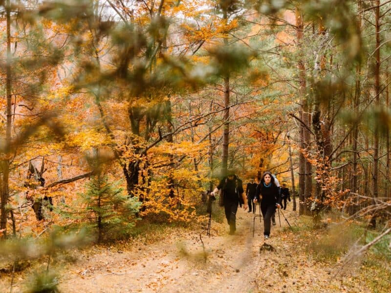 „anii drumeției” te așteaptă la ațel: descoperă natura, legendele și deliciile săsești