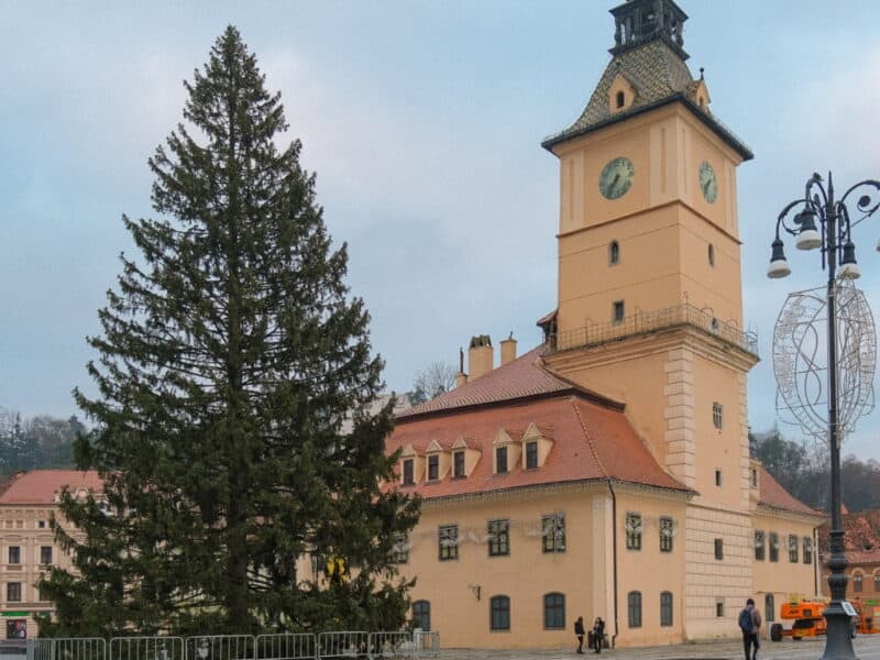 bradul de crăciun din brașov, donat de mitropolia ardealului, depășește 30 de metri înălțime