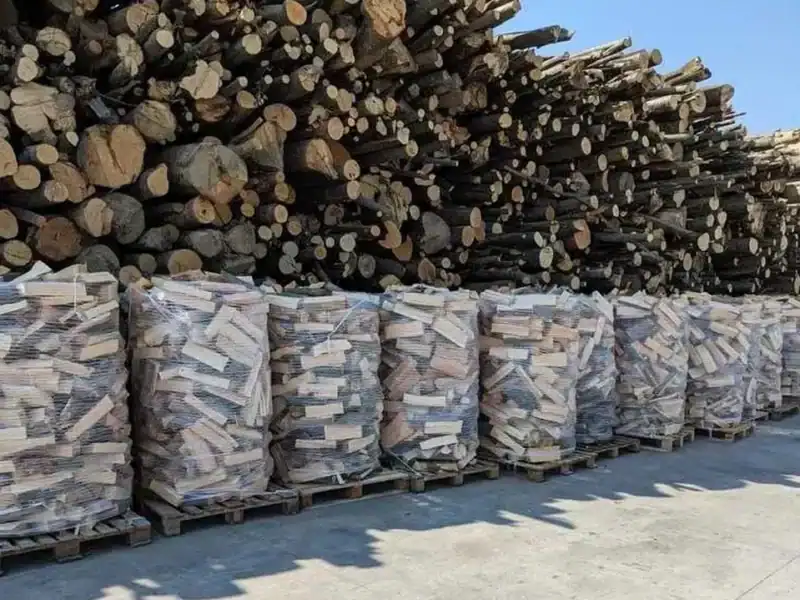 parlamentul discută legea privind prețurile plafonate pentru lemn, brichete și peleți