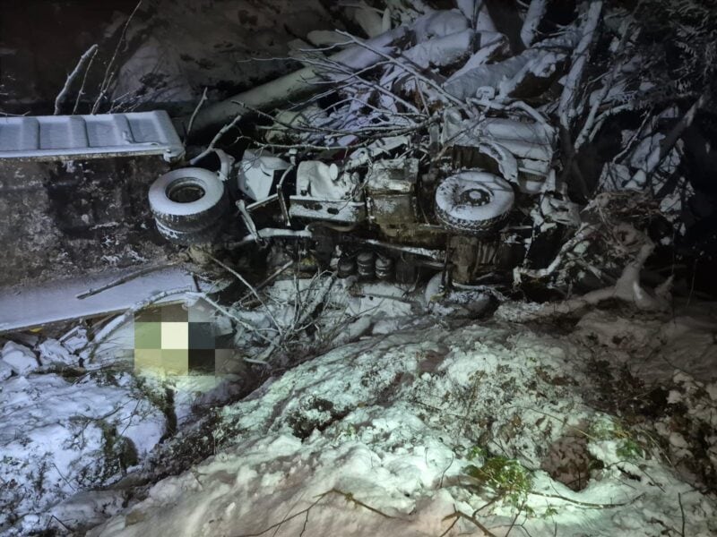 tragedie pe valea arpașu mare: doi bărbați și-au pierdut viața în urma unui accident în timp ce transportau lemne din pădure