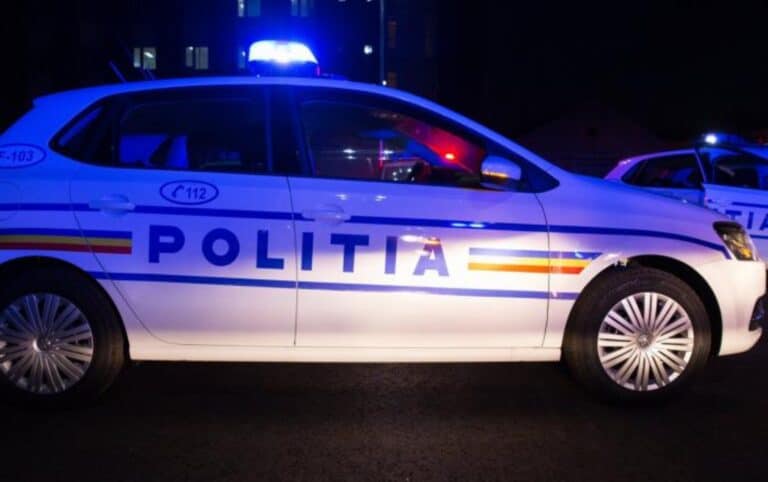 șofer în stare de ebrietate și fără permis, prins după o fugă de poliție la bradu