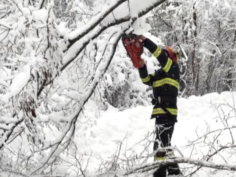 vremea severă afectează județul sibiu: copaci căzuți pe drumuri în diverse localități