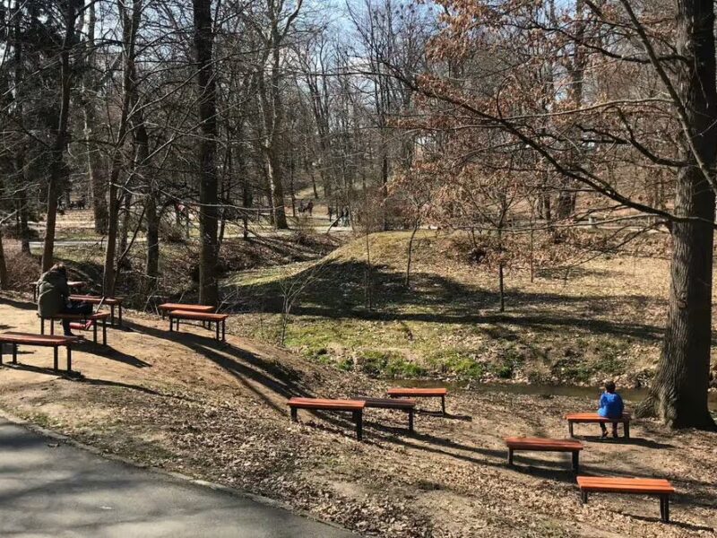bărbat acuzat de masturbare în parcul sub arini