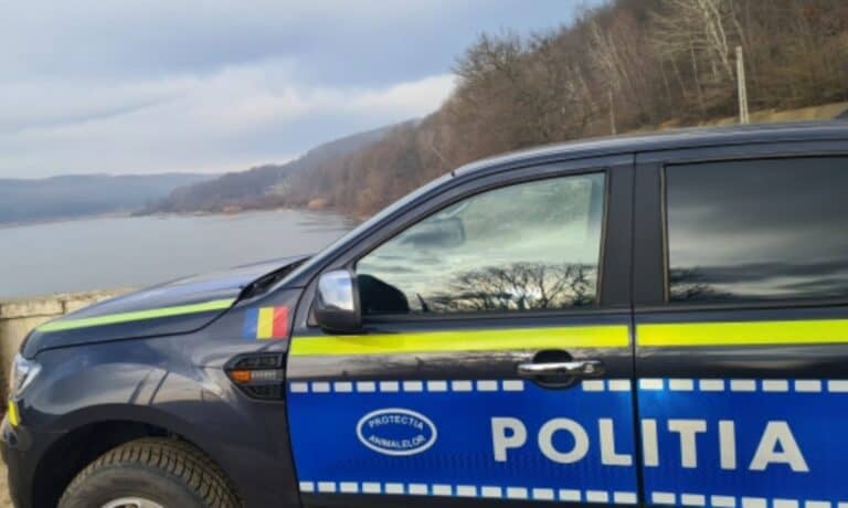 sibian condamnat pentru uciderea a trei câini într-un act de cruzime extremă
