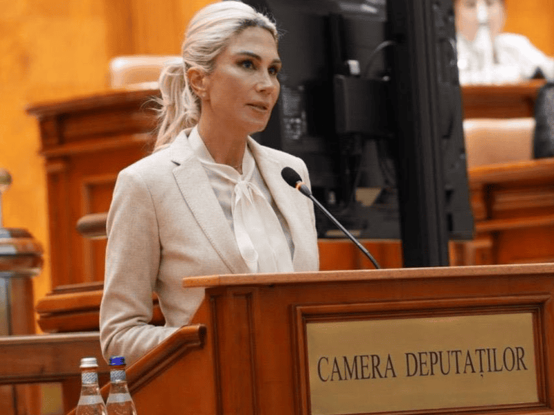 lege propusă de raluca turcan pentru accesul persoanelor cu dizabilități la informații prin subtitrări și limbajul semnelor