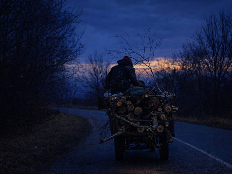 bărbat din jina surprins transportând lemne fără acte cu căruța