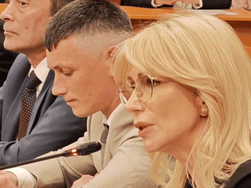 raluca turcan: parlamentarii cu funcții de răspundere își bat joc de românia