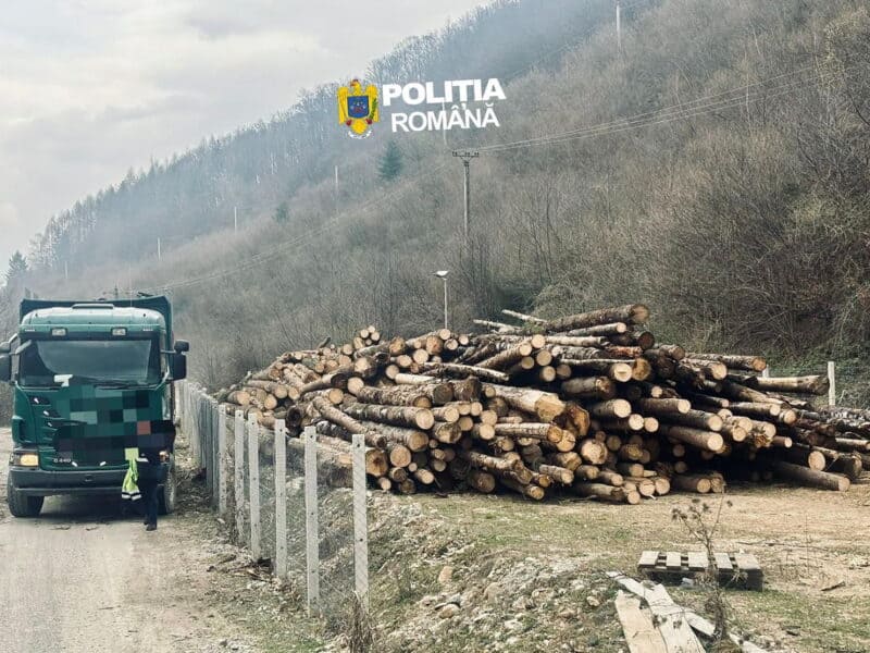confiscare de 180 de metri cubi de lemn în gura râului și cristian