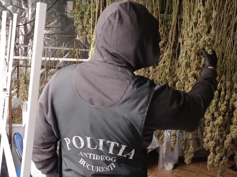 descoperirea unui laborator clandestin de droguri în vâlcea: percheziții și arestări în urma operațiunii