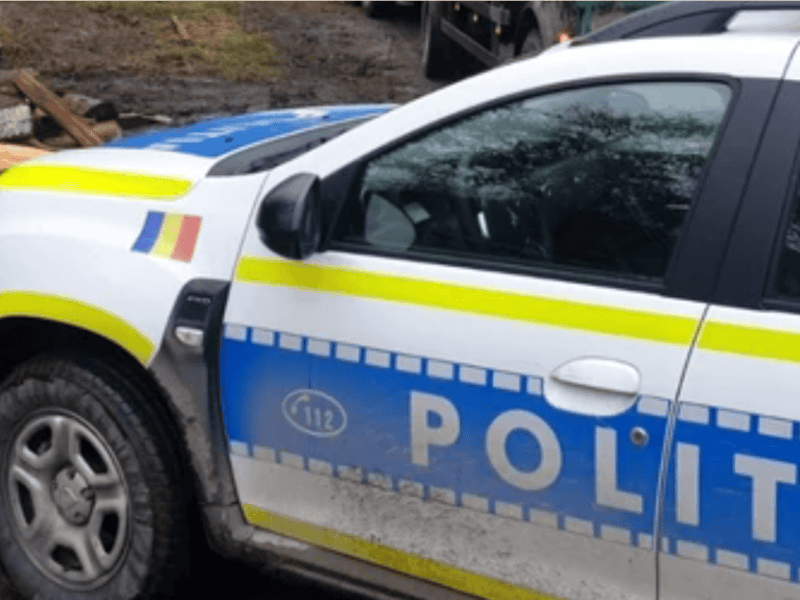 furt de lemn în desfășurare: doi bărbați prind de polițiști