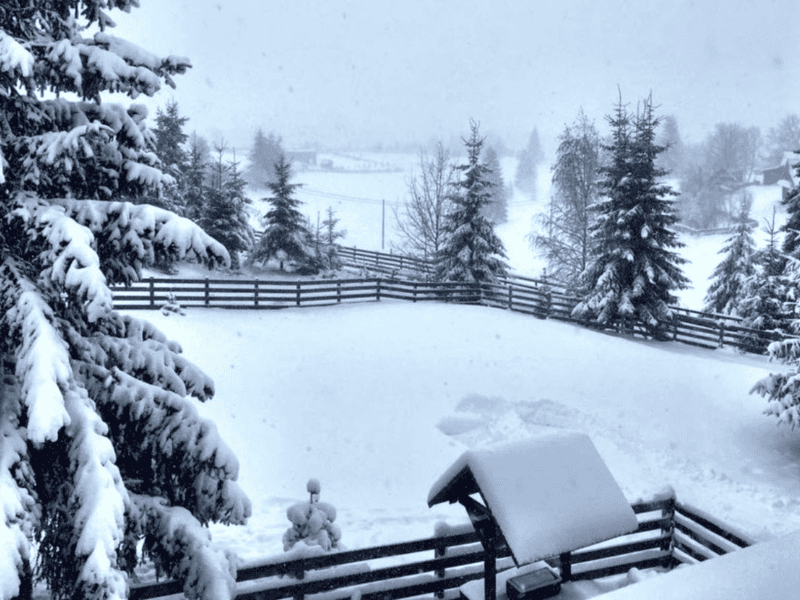 record de frig în aprilie: minus 12 grade într-o localitate din românia