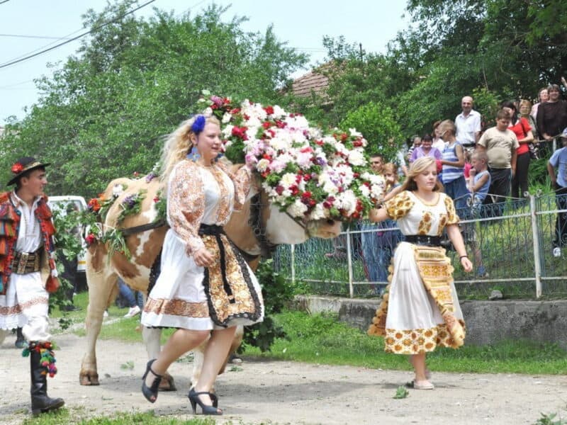 tradiții de sfântul gheorghe: interdicții și semnificația crengilor la porți