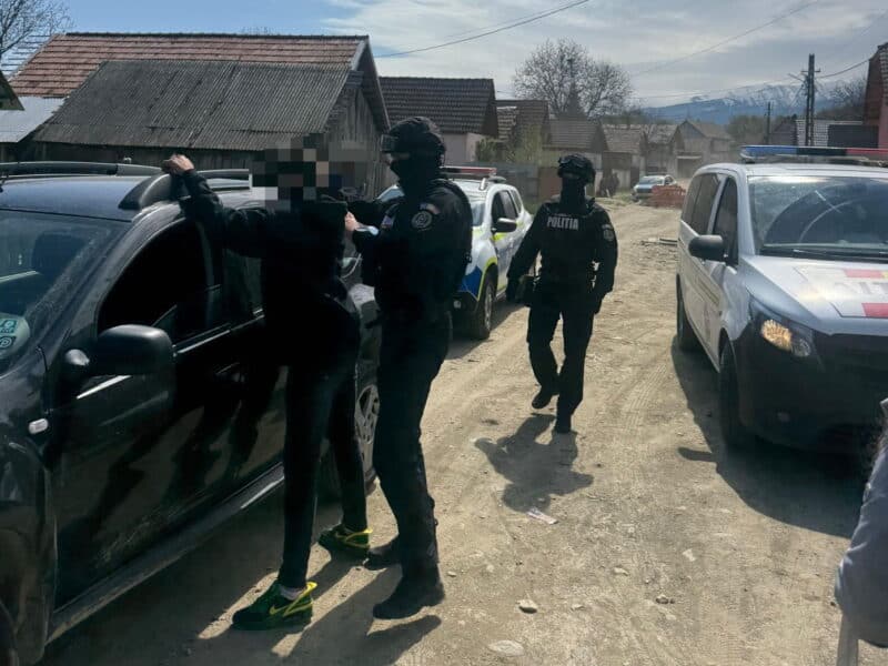 tinerii suspectați de furt de lemne din pădurea din arpașu au fost reținuți, cu detalii foto