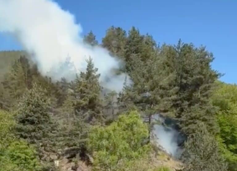 incendiu în pădurea de la sadu: pompierii voluntari sting rapid flăcările