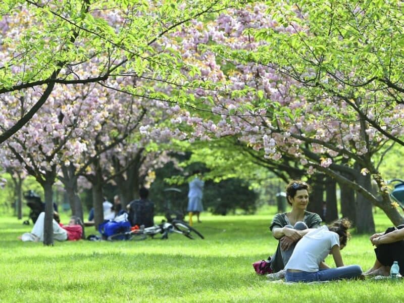 anm prezintă o lună neobișnuită: temperaturi ridicate și precipitații reduse la început