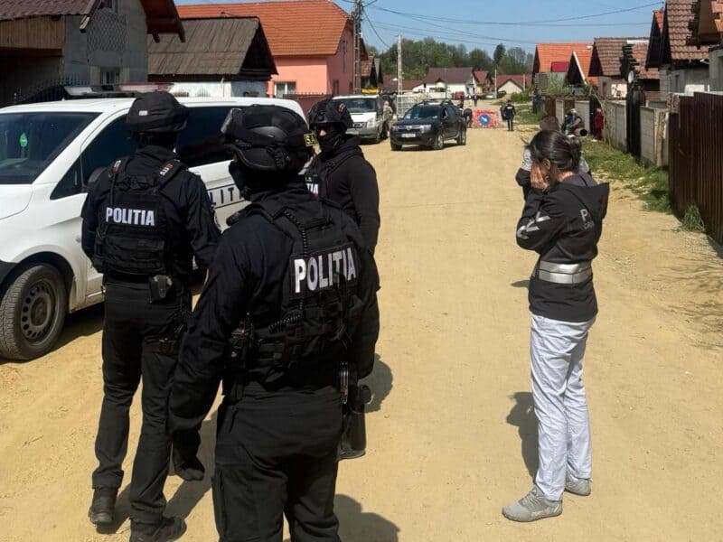 tinerii acuzați de furt de lemn în arpașu au evitat arestul, primind o măsură mai blândă