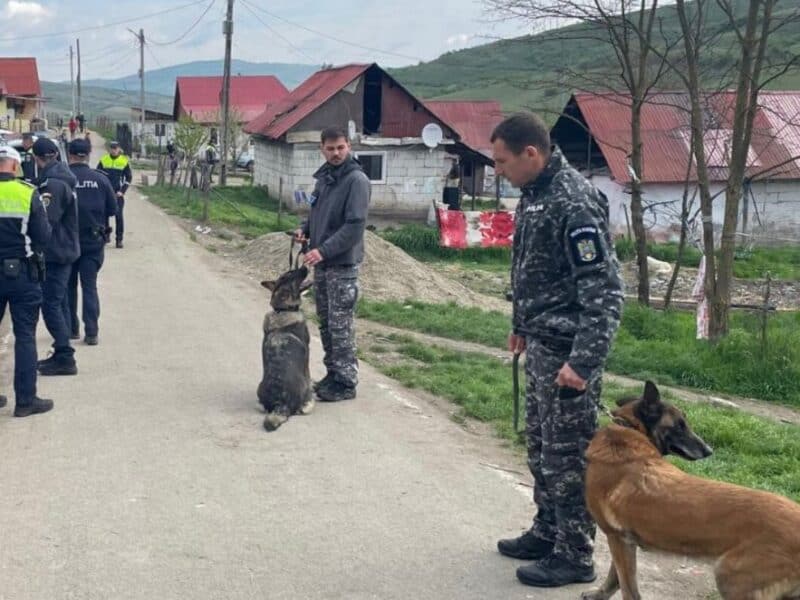 lansarea operațiunii jupiter 5: peste 400 de percheziții în întreaga țară și prejudicii de peste 104 milioane de lei