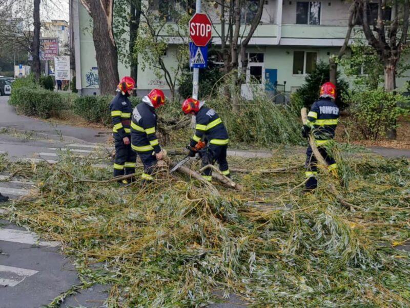 copac doborât de vijelie la intersecția octavian goga cu argeșului din sibiu pompierii intervin pentru degajare și circulația este îngreunată