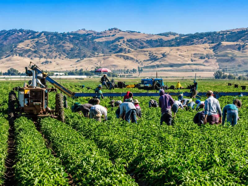 itm sibiu începe controale de amploare în agricultură pentru verificarea securității și sănătății în muncă la ferme și producători agricoli