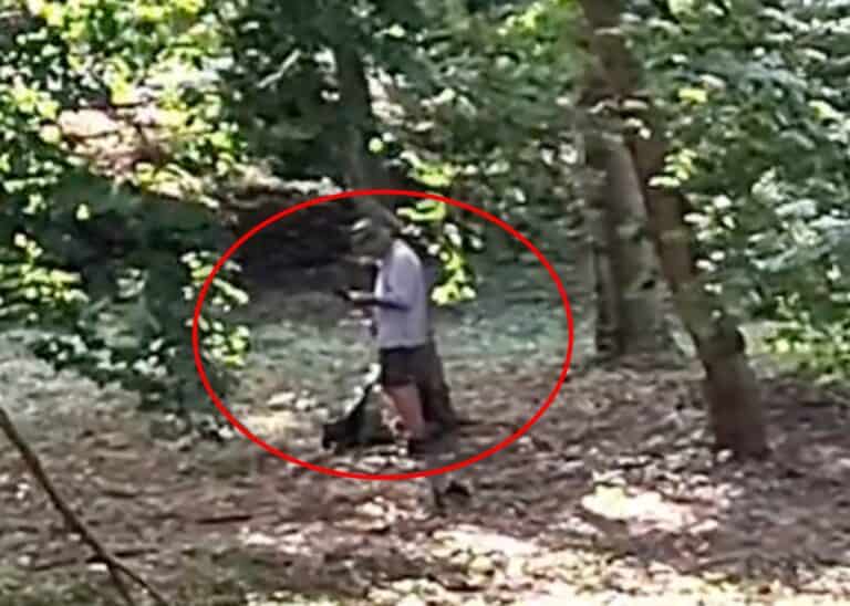 scene tulburătoare în parcul sub arini din sibiu bărbat filmat în timp ce se masturba în plină zi într-o zonă intens tranzitată