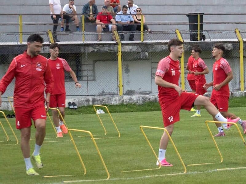 frf a oficializat retragerea fc hermannstadt din liga 2 și promovarea olimpiei satu mare în al doilea eșalon