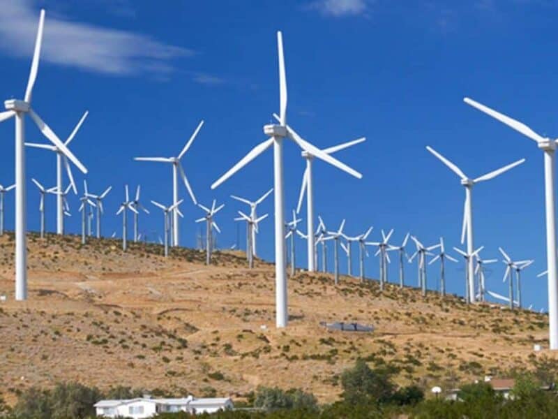 eolienele salvează românia la vârful de consum cu peste 2.400 mw produși în dobrogea