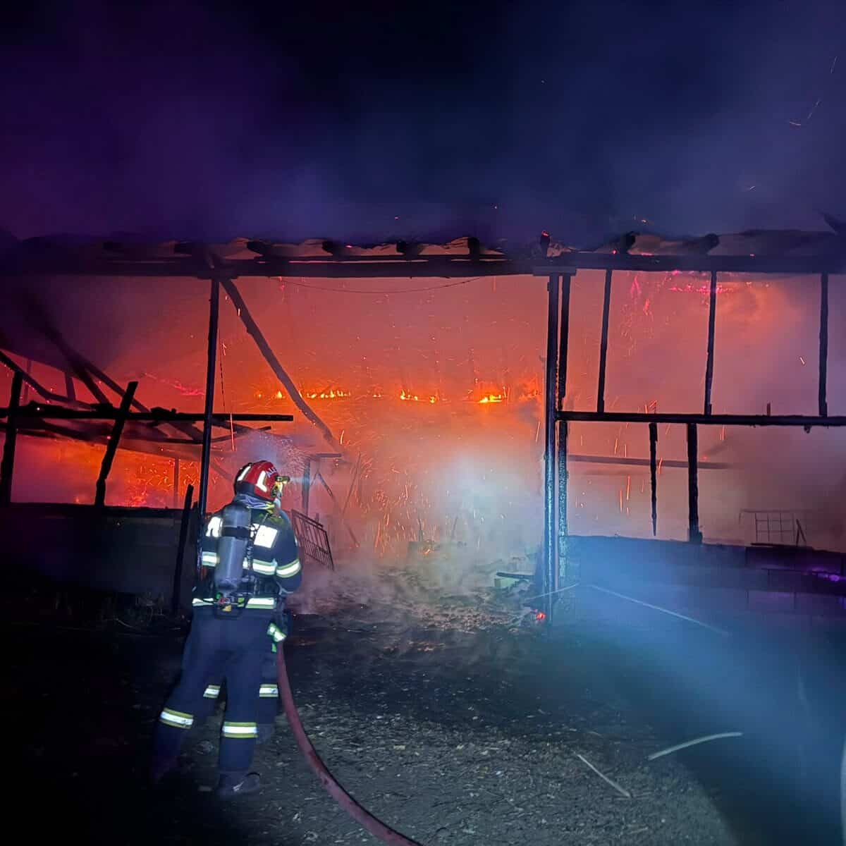 incendiu la un saivan în târnava soldat cu doi porci morți