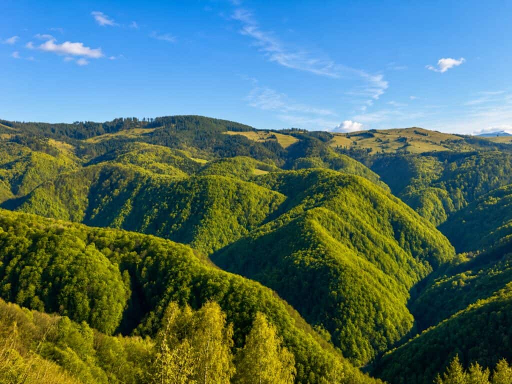 Sfânta Maria la înălțime: Tradiții străvechi și răsfăț montan în Jina, cel mai înalt sat din România 3 sfânta maria la înălțime: tradiții străvechi și răsfăț montan în jina, cel mai înalt sat din românia