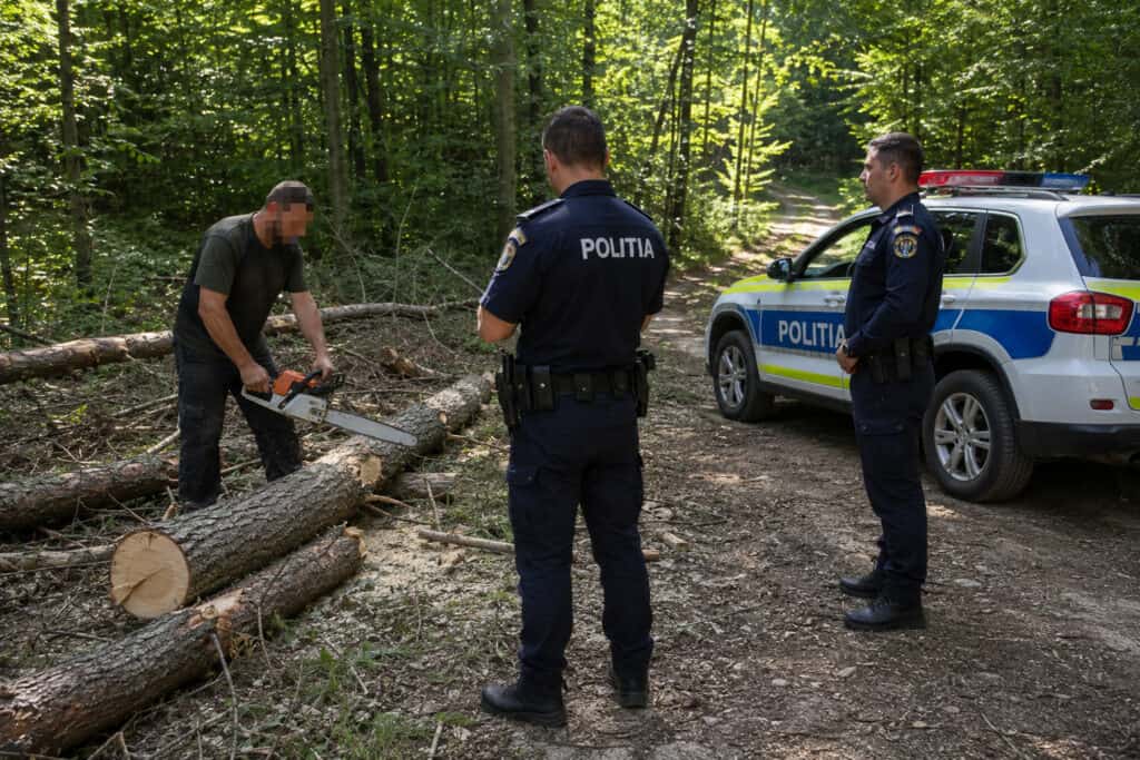 Tânăr din Mediaș condamnat la 2 ani și jumătate pentru furt de lemne, închis imediat 1 Tânăr din Mediaș condamnat la 2 ani și jumătate pentru furt de lemne, închis imediat