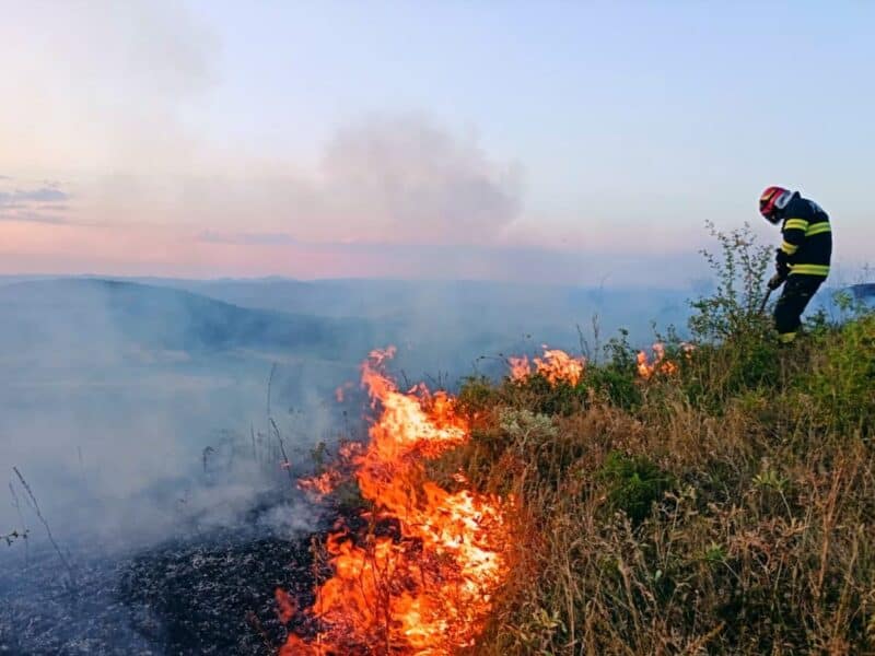 peste 500 de incendii în weekend au afectat 2.300 de hectare în românia