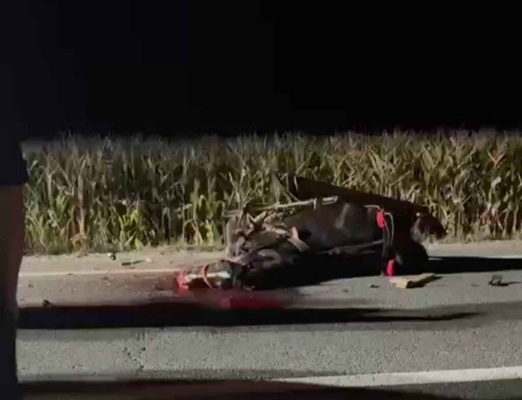 Accident pe DN14 la Șeica Mare blocat total după coliziune între autoturism și atelaj hipo 1 Accident pe DN14 la Șeica Mare blocat total după coliziune între autoturism și atelaj hipo