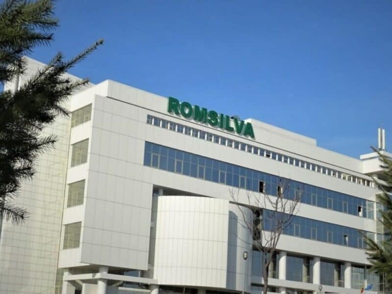 silvicultorii sesizează csat pentru suspendarea reorganizării romsilva și critică ministerul mediului